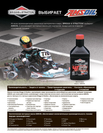 Флаер AMSOIL "Briggs&Stratton Масла для 2-х и 4-х тактных двигателей"