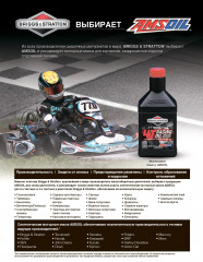 Флаер AMSOIL &quot;Briggs&amp;Stratton Масла для 2-х и 4-х тактных двигателей&quot;